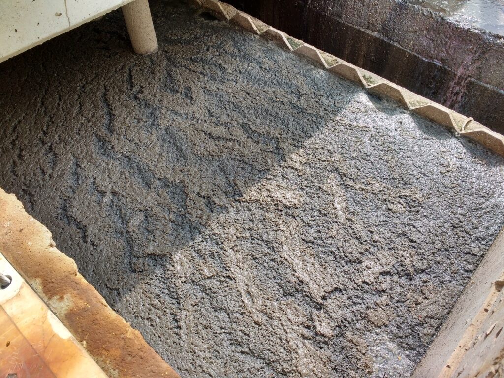 IMG_20160921_091119165_HDR-1024x768-1 (1)