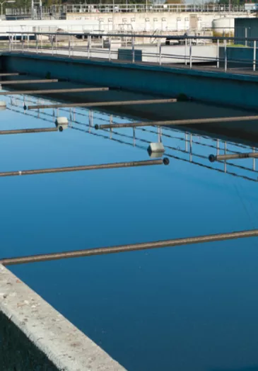 entenda-o-que-e-o-tratamento-biologico-d